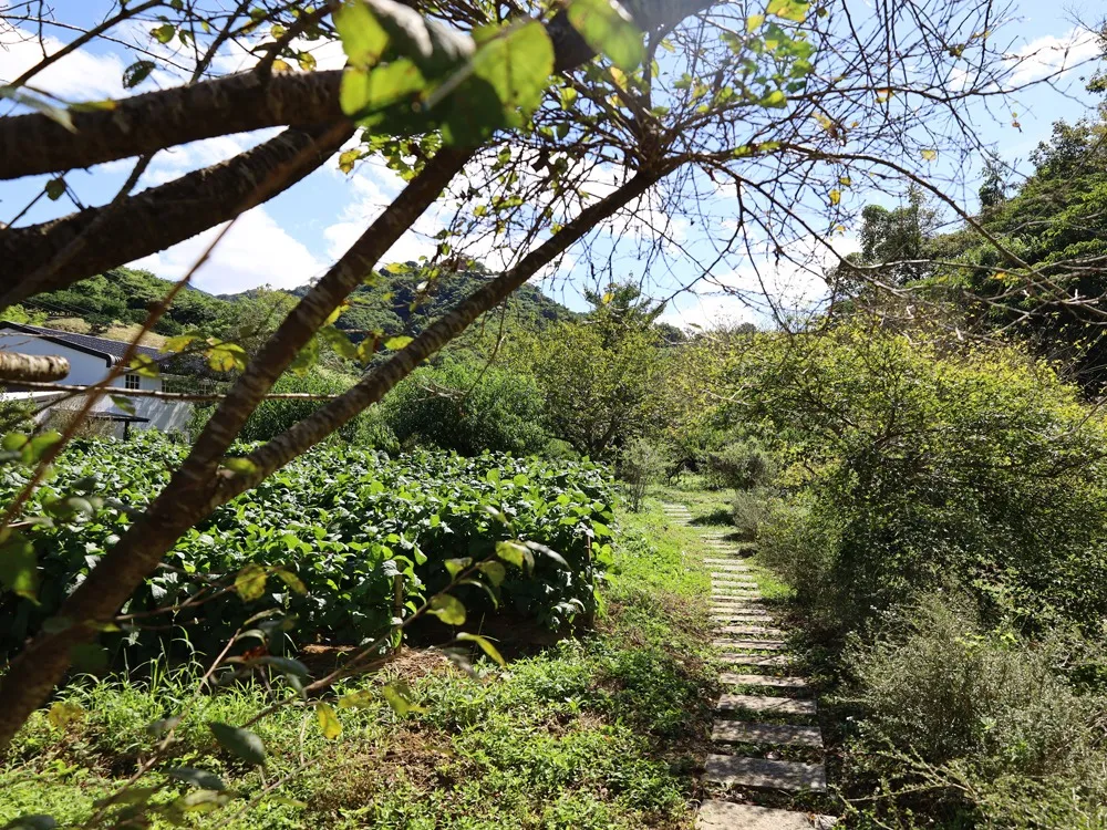 建築家の特性と経験の重要性